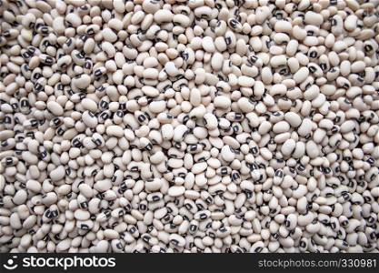 White beans, small close-up. White beans are not large.. White beans, small. Background with beans.