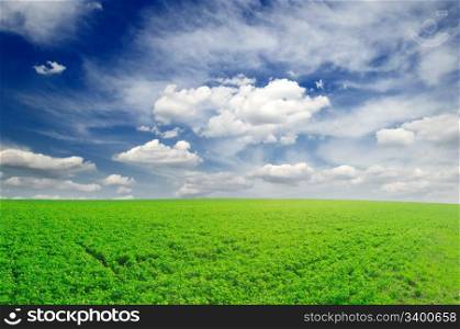 white beautiful clouds and spring field