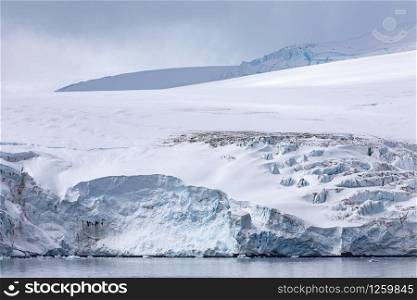 White blue glacier tongue falls directly into the calm sea of Antarctica