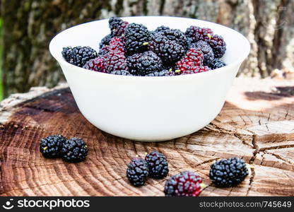 White bowl with delicious ripe juicy mulberry stands on the stump outdoors, close-up. White bowl with delicious ripe juicy mulberry stands on the stump outdoors