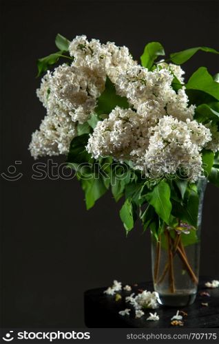 White branches of lilac in glass vase on dark background. Spring branch of blooming lilac on the black table with dark background. Fallen lilac flowers on the table.