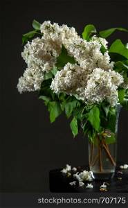White branches of lilac in glass vase on dark background. Spring branch of blooming lilac on the black table with dark background. Fallen lilac flowers on the table.