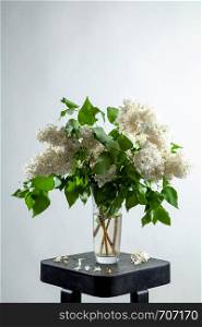 White branches of lilac in glass vase on gray background. Spring branch of blooming lilac on the table with gray background. Fallen lilac flowers on the table.