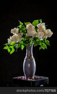White branches of lilac in vase on black background. Spring branch of blooming lilac on the table with black background. Fallen lilac flowers on the table.