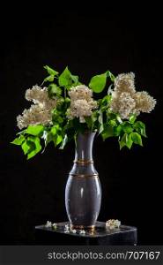 White branches of lilac in vase on black background. Spring branch of blooming lilac on the table with black background. Fallen lilac flowers on the table.