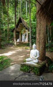 White Buddha statue in jungle, Wat Palad, Chiang Mai, Thailand. Buddha statue in jungle, Wat Palad, Chiang Mai, Thailand