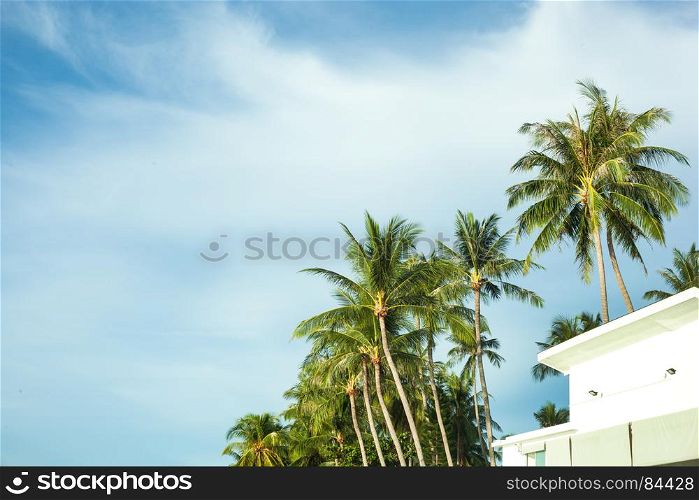 White building with blue sky, white clouds and coconut trees.