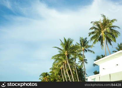 White building with blue sky, white clouds and coconut trees.