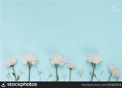white carnation flowers blue table