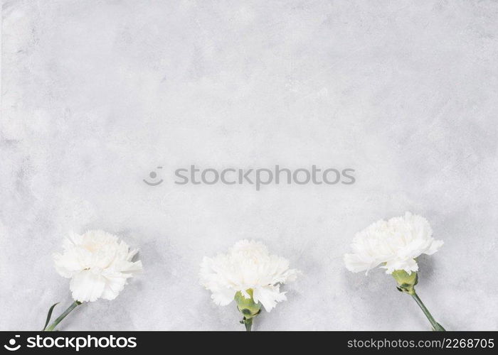 white carnation flowers grey table