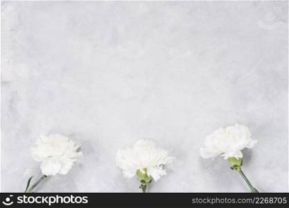 white carnation flowers grey table