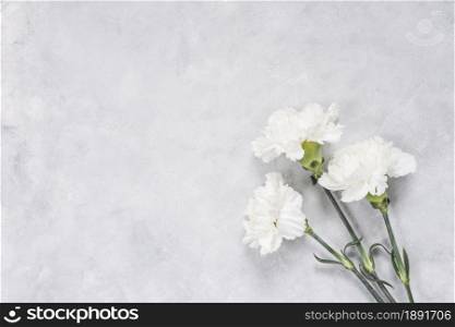 white carnation flowers table. Resolution and high quality beautiful photo. white carnation flowers table. High quality and resolution beautiful photo concept