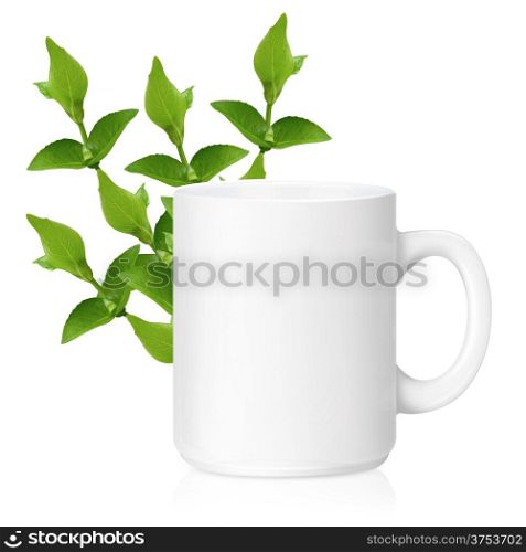 White ceramic mug with Herbs, Herbs Drink, Isolated on a white. (with clipping work path)