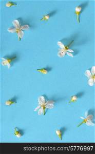 white cherry blossoms on blue background, abstract