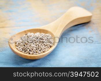 white chia seeds on a wooden spoon against blue painted grunge wood