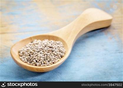 white chia seeds on a wooden spoon against blue painted grunge wood