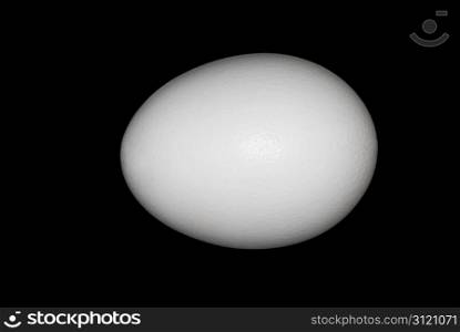 White chicken egg isolated on a black background.