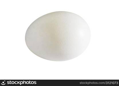 White chicken egg isolated on white with a clipping path.