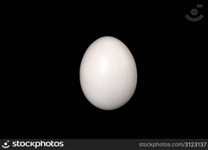 white chicken egg on black background
