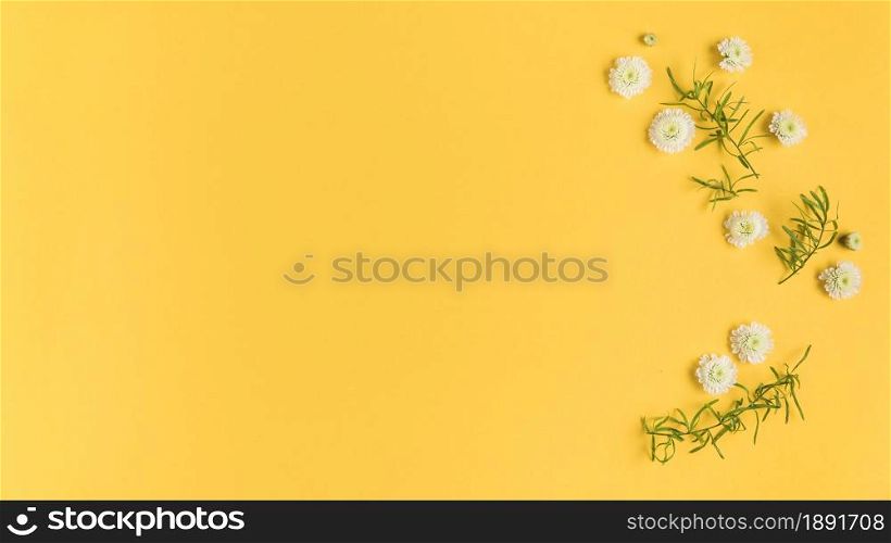 white chrysanthemum flowers leaves yellow card. Resolution and high quality beautiful photo. white chrysanthemum flowers leaves yellow card. High quality and resolution beautiful photo concept