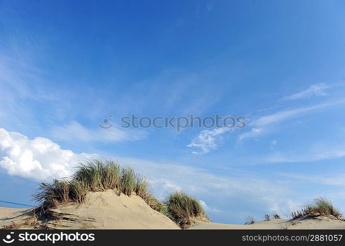 White clouds on blue sky over dunes