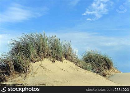 White clouds on blue sky over dunes