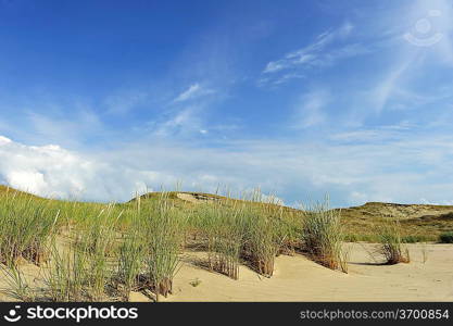 White clouds on blue sky over dunes