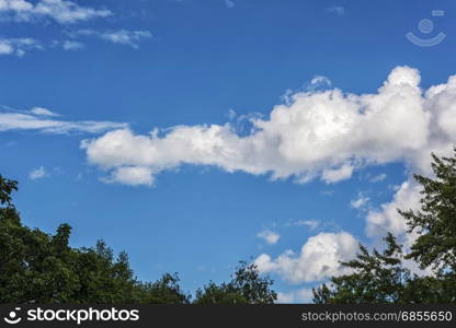 White clouds on blue sky over green foliage of trees