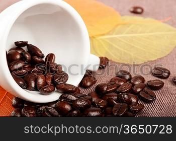 White coffee cup, yellow autumn leaves and coffee beans