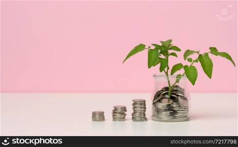 white coins in a glass jar and on the table, sprout with green leaves on a white table. Income growth concept, high percentage of investment, copy space