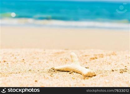White coral on sand beach and blue water as summer holiday background