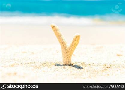 White coral on sand beach and blue water as summer holiday background