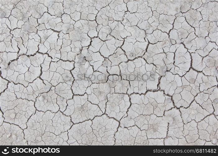 White cracked ground,Etosha National Park, Namibia