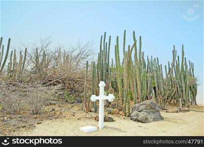 White cross in the cunucu on Aruba island in the Caribbean