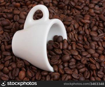 white cup in a pile of coffee beans