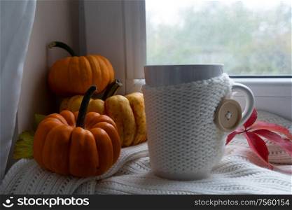 white cup of fall coffee on windowsil, autumn view in background. Fall leaves autumn background