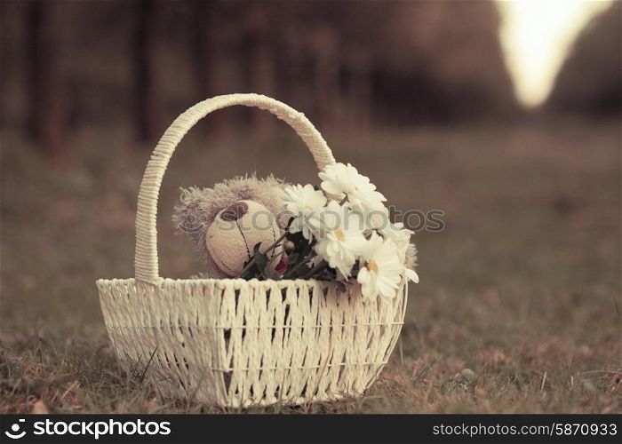 White daisies and teddy bear in basket on the grass.. Daisies and teddy bear