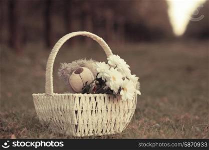 White daisies and teddy bear in basket on the grass.. Daisies and teddy bear