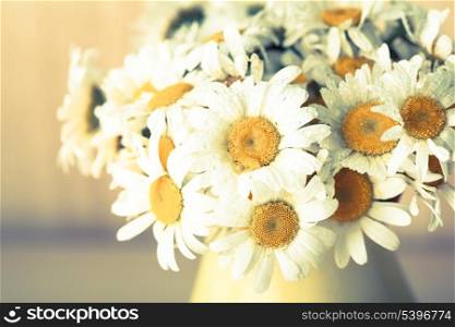 White daisies in vase with waterdrops