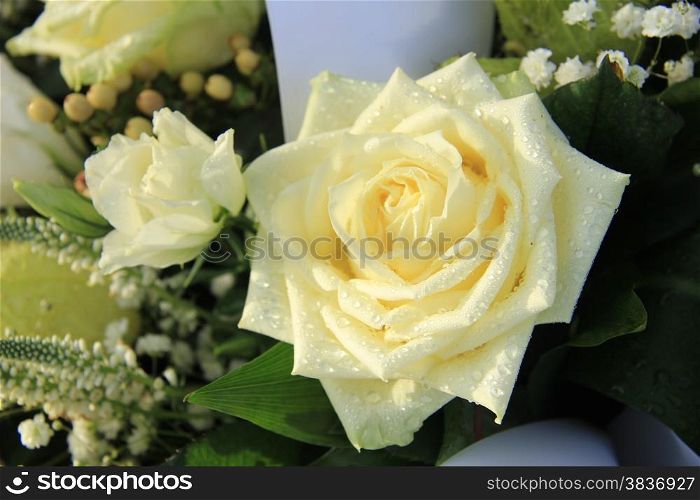 White dew drop rose in a wedding bouquet