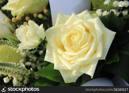 White dew drop rose in a wedding bouquet