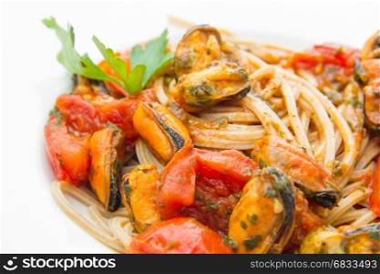 white dish with Pasta spaghetti , mussel and tomatoes