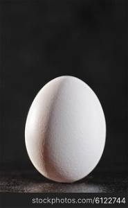 White egg against dark backgrounds