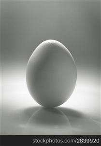 White egg over desk with reflection and shadow