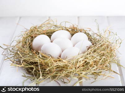 white eggs in nest