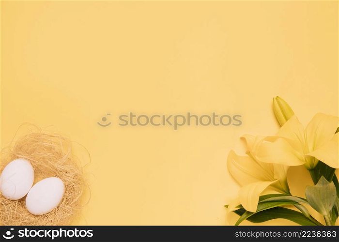 white eggs lily flower yellow background
