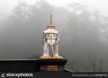 White elephant in the cloud on the top of mount EmeiShan