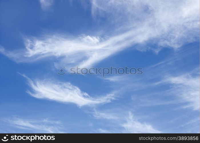 White elongated stratospheric clouds against the blue sky