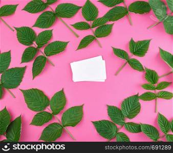 white empty paper business card and fresh green leaves of raspberry on a pink background, top view
