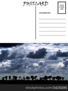 White Empty Postcard Template with Copy Area with African Cloudy Sky